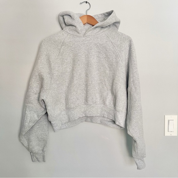 Aritzia Cozy Fleece Mega Raglan Cropped Hoodie Heather Chrome - Picture 2 of 7